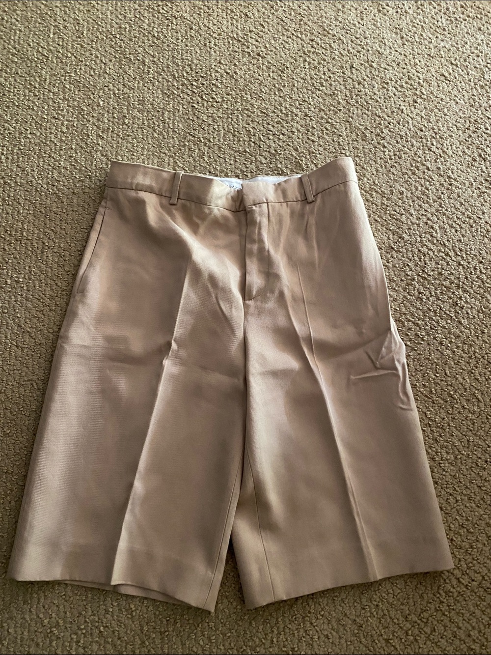 Zara Walking Shorts